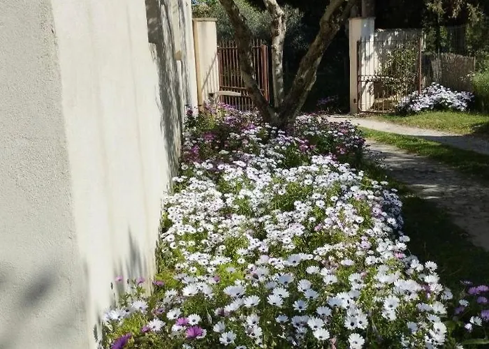 Maison De Campagne En Provence