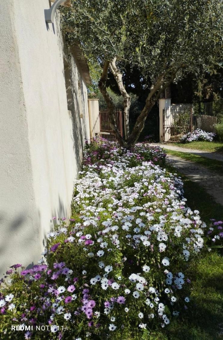 En Provence